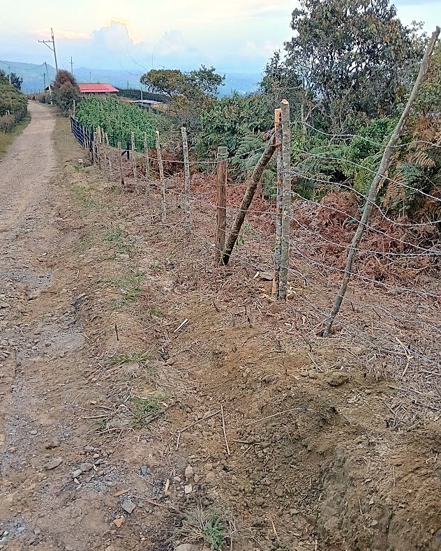 Cerco nuevo del lote sobre la carretera veredal