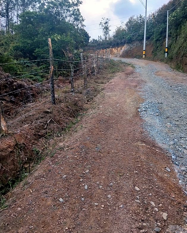 Carretera veredal con red eléctrica